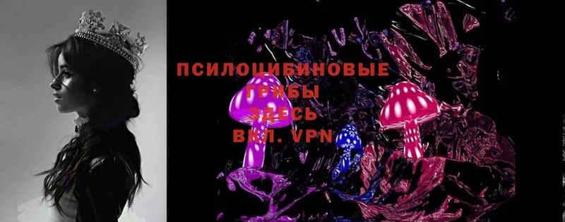 Псилоцибиновые грибы Magic Shrooms  Ейск 